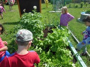 Zahradničíme ve školce